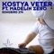 Envy (Radio Edit) [feat. Madelin Zero] - Kostya Veter lyrics