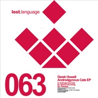 Angrodgynous Cats - EP - Derek Howell