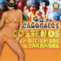culebra cascabel - los corraleros