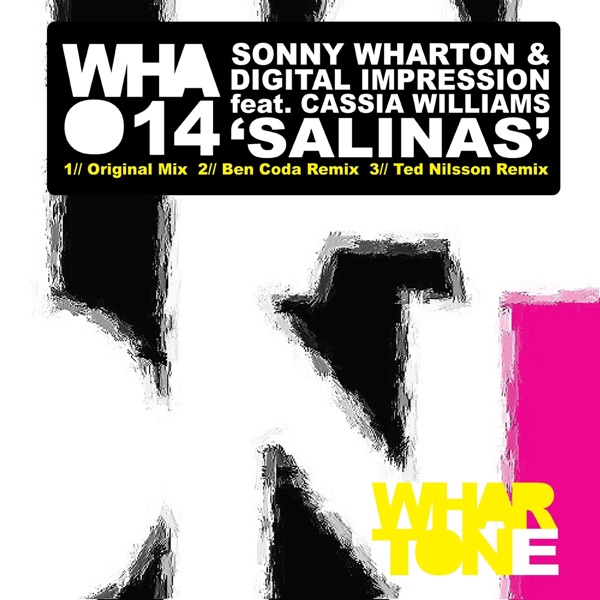 Salinas (feat. Cassia Williams) - Single