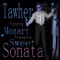 Sensual Seduction (Symphony No. 25) - Tawher lyrics