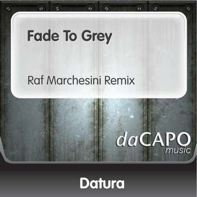 Fade to Grey (feat. Steve Strange) - Single
