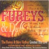 The Fureys And Davey Arthur - When You Were Sweet Sixteen