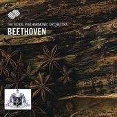 Ludwig van Beethoven artwork