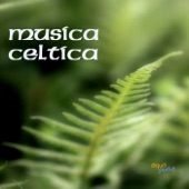 Musica Celtica, Musica Celtica Irlandese con Arpa Celtica artwork