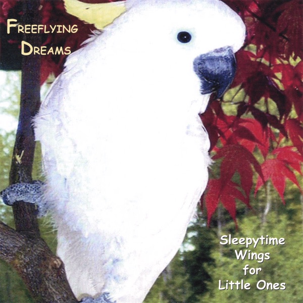 Cover of Freeflying Dreams