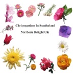 Christmastime In Sunderland - Single