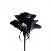 Its Better To Have Loved (Guy Sigsworth Mix)