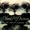Jack And White - Bleed the Dream lyrics