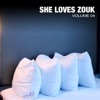 DJ Arafat 12500 Volts (feat. Kamnouze & DJ Arafat) She Loves Zouk, Vol. 4