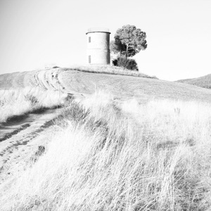 Regis Complete Works 1999-2001