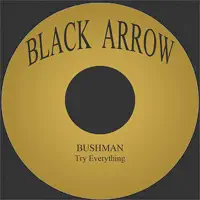 Try Everything — Bushman