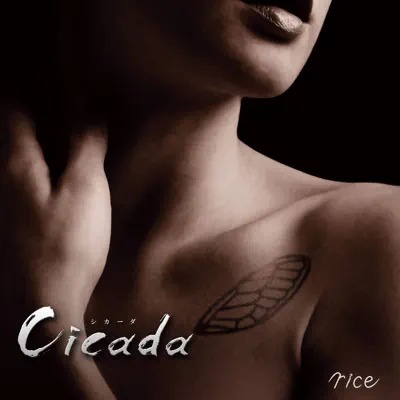 Cicada - Rice