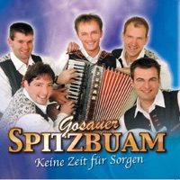 Gosauer Spitzbuam