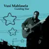 Ntombi Mbali (feat. 'Black Moses' Ngwenya)