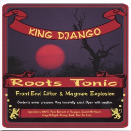 Too Many Things King Django