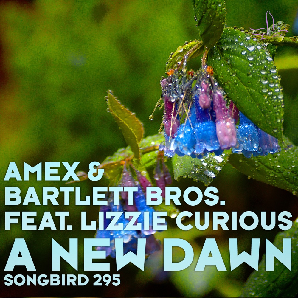Обложка альбома «A New Dawn - EP (feat. Lizzie Curious) - Single» — AMEX & Bartlett Bros.