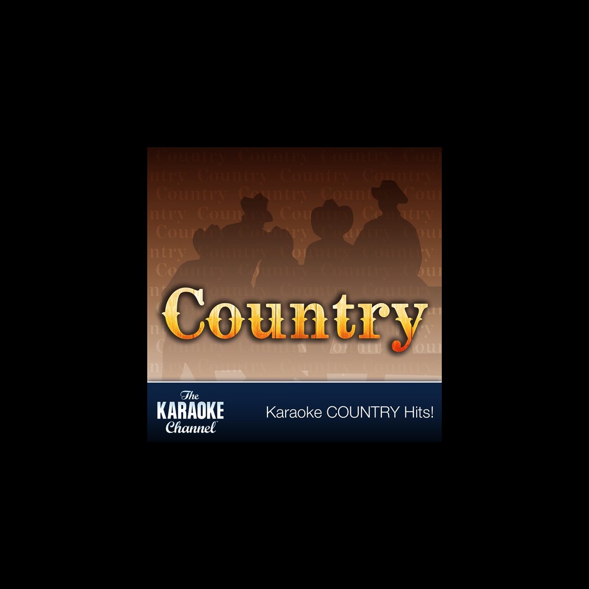 ‎The Karaoke Channel, Vol. 1 Country (In the Style of Deric Ruttan
