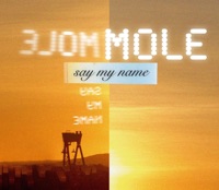 Say My Name - Single - MØLE