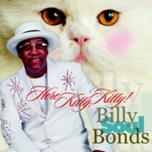 Billy Soul Bonds - Scat Cat, Here Kitty, Kitty