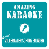 Best of Zillertaler Schürzenjäger (Karaoke)