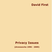 David First - The Softening Door