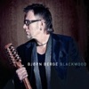 Bjorn Berge - Woodstock