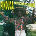 BOI BUMBA DO SALAO
