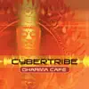 Cybertribe - The Spirit of Earth Continues (Floating Earth Remix)