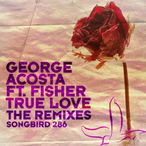 True Love (Remixes) [feat. Fisher]