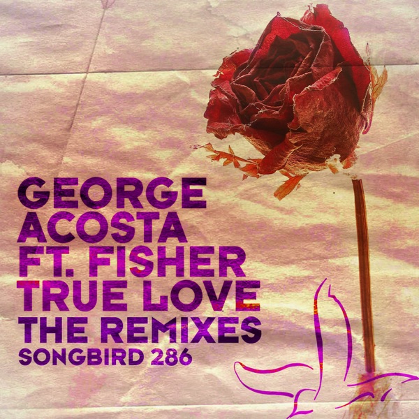 True Love (Remixes) [feat. Fisher]