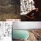 Monte Carlo - Diane Cluck lyrics