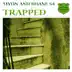 Trapped (Jonas Steurs Inevitable Remix) song reviews