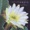 Kent Henry - Faithful God