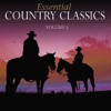Ernest Tubb - It's Been So Long, Darling