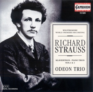 Piano Trio No. 1 In A Major, TrV 53: IV. Allegro Vivace