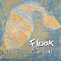 Flook - Sligo Reel