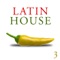 Latin Brutality (Fiber & Praia del Sol Mix) - D-Rashid lyrics