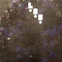 F.O.G. - Single - LSB