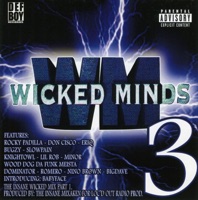 WM3 - Wicked Minds