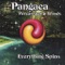 Gecko Lypso - Pangaea Percussion & Winds lyrics