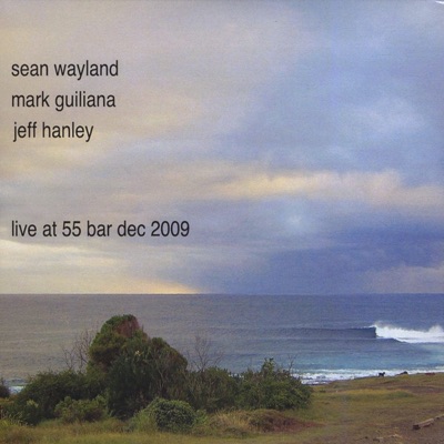 Live At 55 Bar Dec 2009