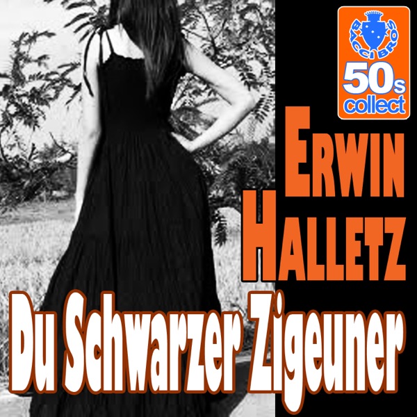 Du Schwarzer Zigeuner (Digitally Remastered) - Single