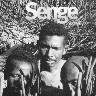 Senge - Besola
