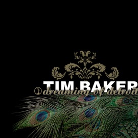 Reckless Tim Baker