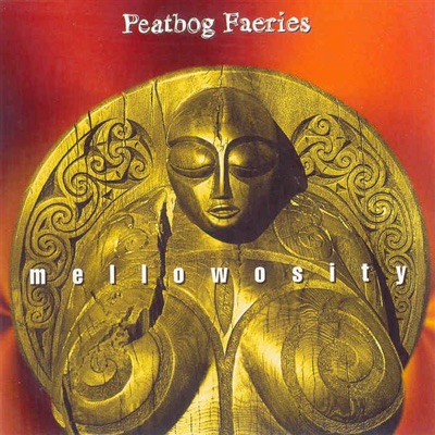 Peatbog Faeries - Angus MacKinnon