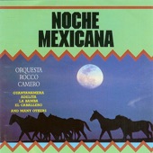 Noche Mexicana artwork