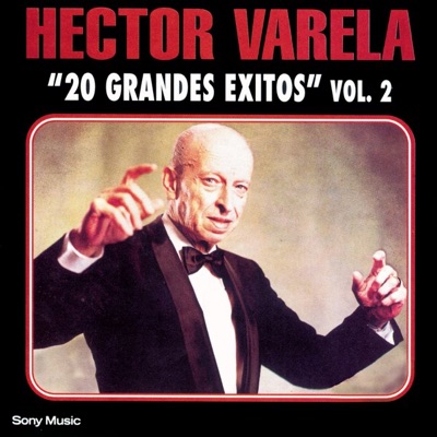 20 Grandes Exitos, Vol. 2