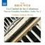 Guitar Music of Leo Brouwer, Vol. 4