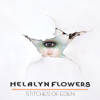 The Comets Garden - Helalyn Flowers